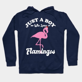 Just a Boy Who Loves Flamingos Hoodie